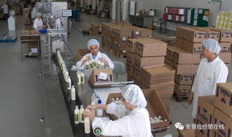 投資1000萬美元的化妝品加工廠在安開業，引領本土美妝產業新格局